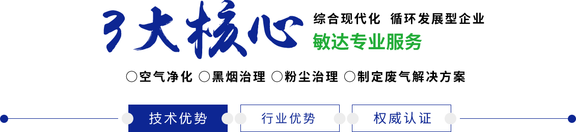大鸡巴操逼逼免费视频网站下载敏达环保科技（嘉兴）有限公司